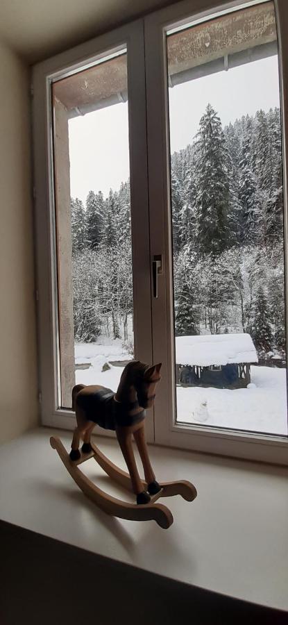 La Perle Au Bord De La Riviere Apartment Gérardmer Екстериор снимка